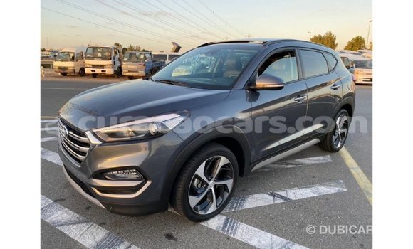 Buy Import Hyundai Tucson Other Car in Import - Dubai in Curacao Buy Import Hyundai Tucson Other Car in Import - Dubai in Curacao