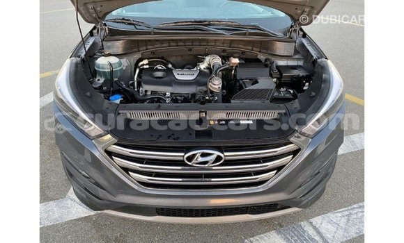 Buy Import Hyundai Tucson Other Car in Import - Dubai in Curacao Buy Import Hyundai Tucson Other Car in Import - Dubai in Curacao