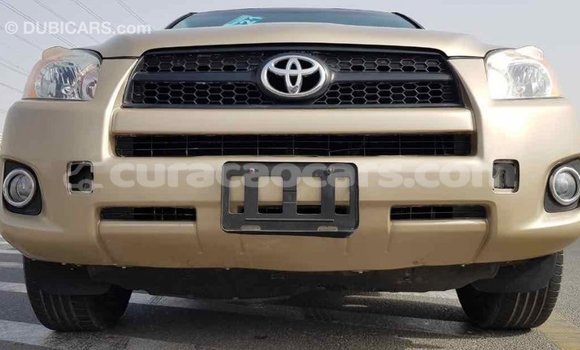 Buy Import Toyota RAV4 Other Car in Import - Dubai in Curacao Buy Import Toyota RAV4 Other Car in Import - Dubai in Curacao