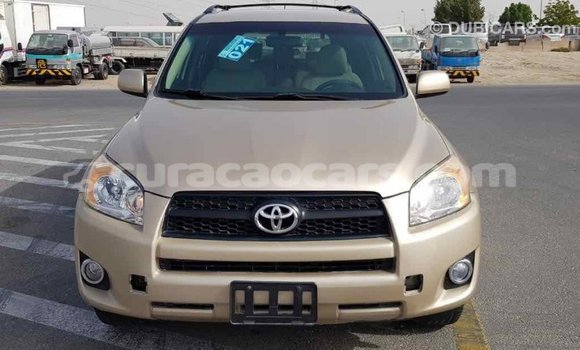 Buy Import Toyota RAV4 Other Car in Import - Dubai in Curacao Buy Import Toyota RAV4 Other Car in Import - Dubai in Curacao