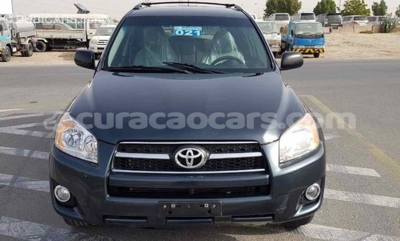 Buy Import Toyota RAV4 Green Car in Import - Dubai in Curacao Buy Import Toyota RAV4 Green Car in Import - Dubai in Curacao