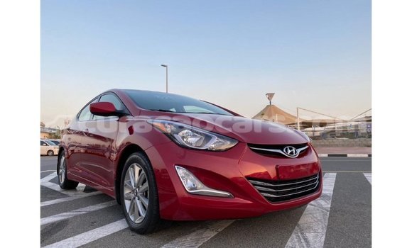 Buy Import Hyundai Elantra Red Car in Import - Dubai in Curacao Buy Import Hyundai Elantra Red Car in Import - Dubai in Curacao