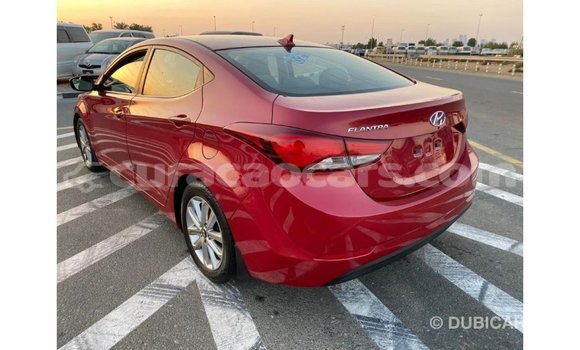 Buy Import Hyundai Elantra Red Car in Import - Dubai in Curacao Buy Import Hyundai Elantra Red Car in Import - Dubai in Curacao