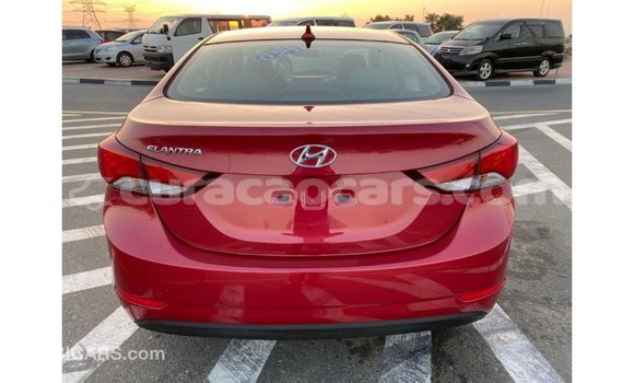 Buy Import Hyundai Elantra Red Car in Import - Dubai in Curacao Buy Import Hyundai Elantra Red Car in Import - Dubai in Curacao