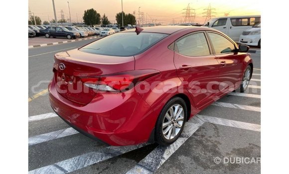 Buy Import Hyundai Elantra Red Car in Import - Dubai in Curacao Buy Import Hyundai Elantra Red Car in Import - Dubai in Curacao
