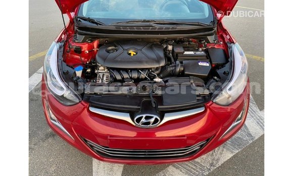 Buy Import Hyundai Elantra Red Car in Import - Dubai in Curacao Buy Import Hyundai Elantra Red Car in Import - Dubai in Curacao