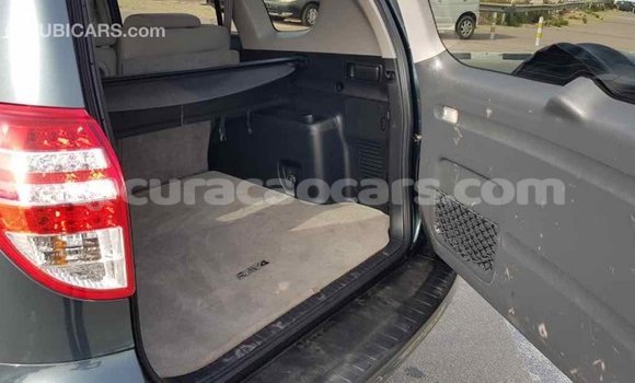 Buy Import Toyota RAV4 Green Car in Import - Dubai in Curacao Buy Import Toyota RAV4 Green Car in Import - Dubai in Curacao