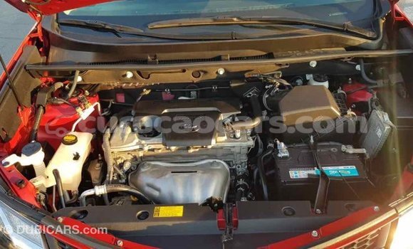 Buy Import Toyota RAV4 Red Car in Import - Dubai in Curacao Buy Import Toyota RAV4 Red Car in Import - Dubai in Curacao