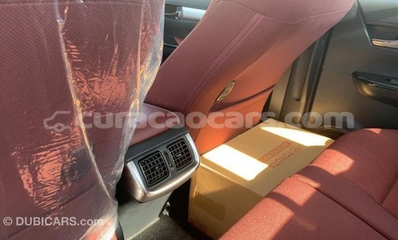 Buy Import Toyota Hilux Other Car in Import - Dubai in Curacao Buy Import Toyota Hilux Other Car in Import - Dubai in Curacao