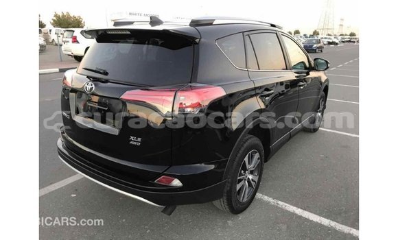 Buy Import Toyota RAV4 Black Car in Import - Dubai in Curacao Buy Import Toyota RAV4 Black Car in Import - Dubai in Curacao