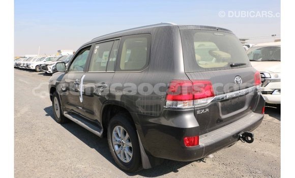 Buy Import Toyota Land Cruiser Black Car in Import - Dubai in Curacao Buy Import Toyota Land Cruiser Black Car in Import - Dubai in Curacao