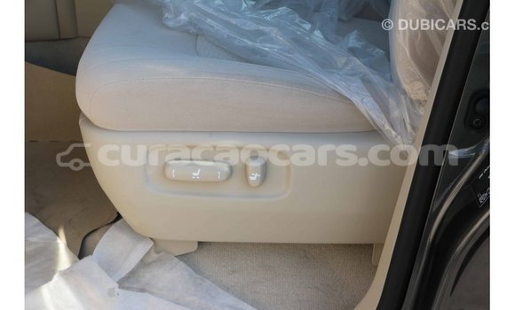 Buy Import Toyota Land Cruiser Black Car in Import - Dubai in Curacao Buy Import Toyota Land Cruiser Black Car in Import - Dubai in Curacao