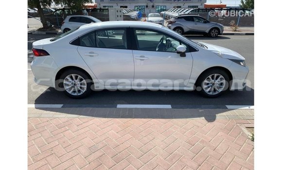 Buy Import Toyota Corolla White Car in Import - Dubai in Curacao Buy Import Toyota Corolla White Car in Import - Dubai in Curacao