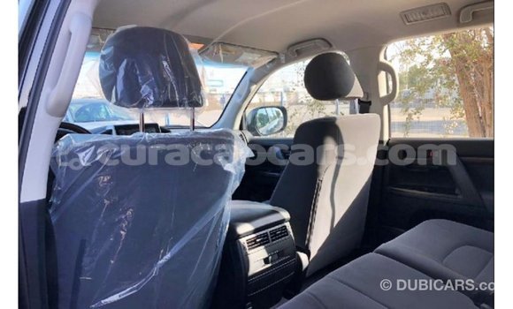Buy Import Toyota Land Cruiser Black Car in Import - Dubai in Curacao Buy Import Toyota Land Cruiser Black Car in Import - Dubai in Curacao