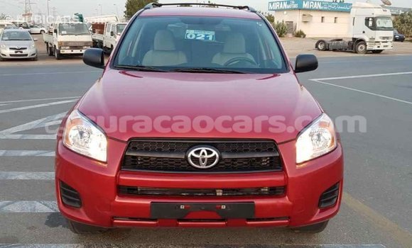 Buy Import Toyota RAV4 Red Car in Import - Dubai in Curacao Buy Import Toyota RAV4 Red Car in Import - Dubai in Curacao