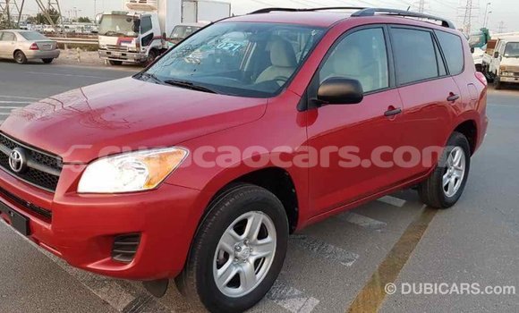 Buy Import Toyota RAV4 Red Car in Import - Dubai in Curacao Buy Import Toyota RAV4 Red Car in Import - Dubai in Curacao