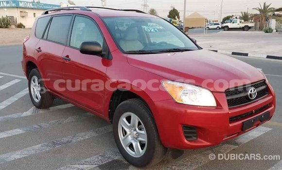 Buy Import Toyota RAV4 Red Car in Import - Dubai in Curacao Buy Import Toyota RAV4 Red Car in Import - Dubai in Curacao