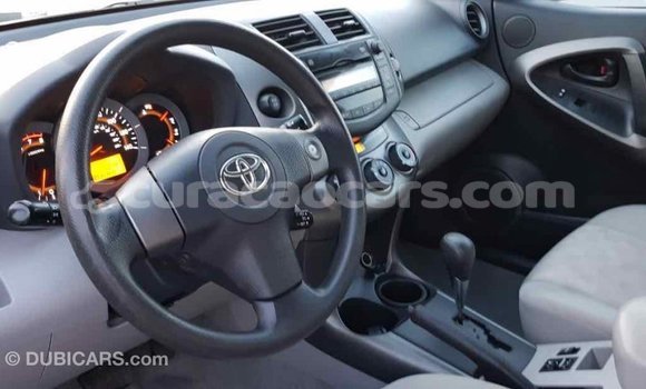 Buy Import Toyota RAV4 Red Car in Import - Dubai in Curacao Buy Import Toyota RAV4 Red Car in Import - Dubai in Curacao