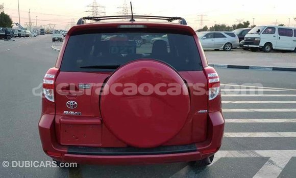 Buy Import Toyota RAV4 Red Car in Import - Dubai in Curacao Buy Import Toyota RAV4 Red Car in Import - Dubai in Curacao