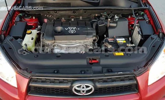 Buy Import Toyota RAV4 Red Car in Import - Dubai in Curacao Buy Import Toyota RAV4 Red Car in Import - Dubai in Curacao