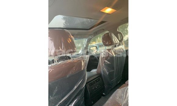 Buy Import Toyota Land Cruiser Black Car in Import - Dubai in Curacao Buy Import Toyota Land Cruiser Black Car in Import - Dubai in Curacao