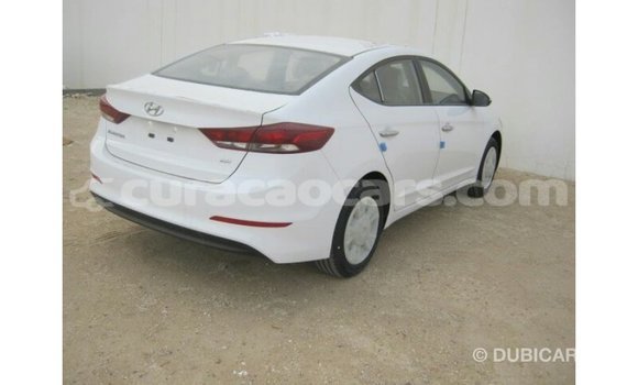 Buy Import Hyundai Elantra White Car in Import - Dubai in Curacao Buy Import Hyundai Elantra White Car in Import - Dubai in Curacao