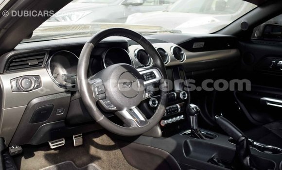 Buy Import Ford Mustang Black Car in Import - Dubai in Curacao Buy Import Ford Mustang Black Car in Import - Dubai in Curacao