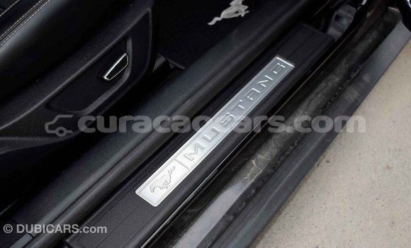 Buy Import Ford Mustang Black Car in Import - Dubai in Curacao Buy Import Ford Mustang Black Car in Import - Dubai in Curacao