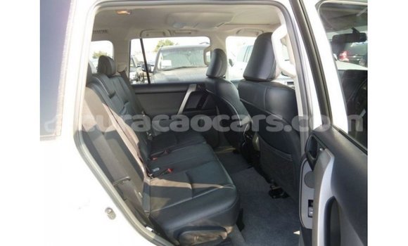 Buy Import Toyota Prado White Car in Import - Dubai in Curacao Buy Import Toyota Prado White Car in Import - Dubai in Curacao