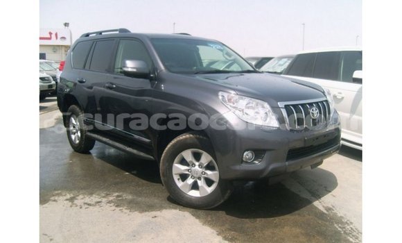 Buy Import Toyota Prado Other Car in Import - Dubai in Curacao Buy Import Toyota Prado Other Car in Import - Dubai in Curacao