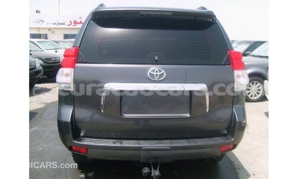 Buy Import Toyota Prado Other Car in Import - Dubai in Curacao Buy Import Toyota Prado Other Car in Import - Dubai in Curacao