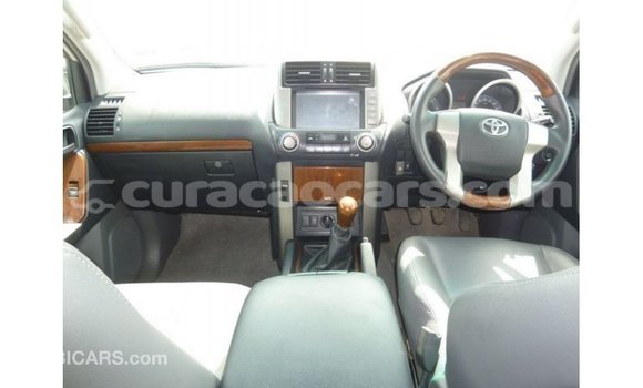 Buy Import Toyota Prado Other Car in Import - Dubai in Curacao Buy Import Toyota Prado Other Car in Import - Dubai in Curacao