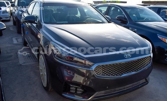 Buy Import Kia Cadenza Other Car in Import - Dubai in Curacao Buy Import Kia Cadenza Other Car in Import - Dubai in Curacao