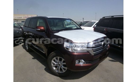 Buy Import Toyota Land Cruiser Other Car in Import - Dubai in Curacao Buy Import Toyota Land Cruiser Other Car in Import - Dubai in Curacao