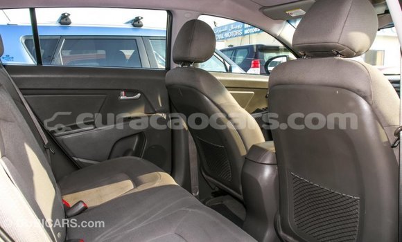 Buy Import Kia Sportage Brown Car in Import - Dubai in Curacao Buy Import Kia Sportage Brown Car in Import - Dubai in Curacao