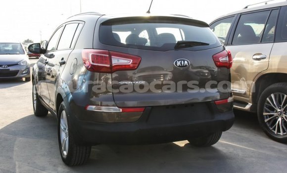 Buy Import Kia Sportage Brown Car in Import - Dubai in Curacao Buy Import Kia Sportage Brown Car in Import - Dubai in Curacao