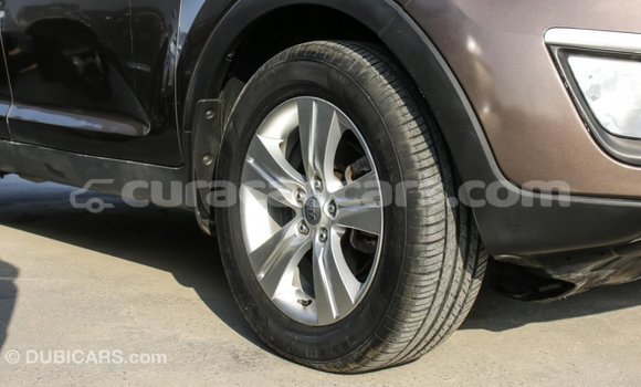 Buy Import Kia Sportage Brown Car in Import - Dubai in Curacao