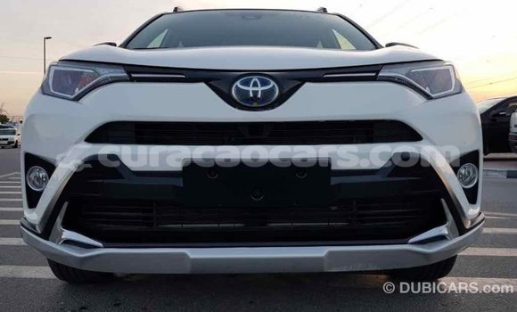 Buy Import Toyota RAV4 White Car in Import - Dubai in Curacao Buy Import Toyota RAV4 White Car in Import - Dubai in Curacao
