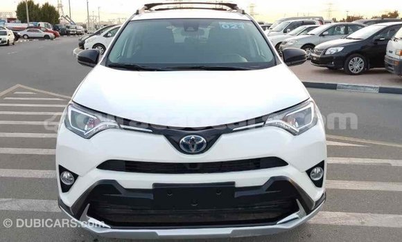 Buy Import Toyota RAV4 White Car in Import - Dubai in Curacao Buy Import Toyota RAV4 White Car in Import - Dubai in Curacao