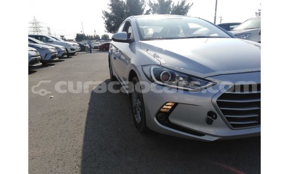 Buy Import Hyundai Elantra Other Car in Import - Dubai in Curacao Buy Import Hyundai Elantra Other Car in Import - Dubai in Curacao