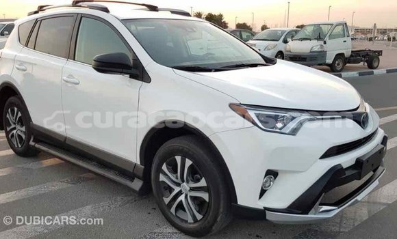 Buy Import Toyota RAV4 White Car in Import - Dubai in Curacao Buy Import Toyota RAV4 White Car in Import - Dubai in Curacao