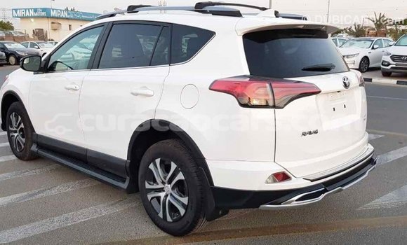 Buy Import Toyota RAV4 White Car in Import - Dubai in Curacao Buy Import Toyota RAV4 White Car in Import - Dubai in Curacao