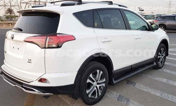 Buy Import Toyota RAV4 White Car in Import - Dubai in Curacao