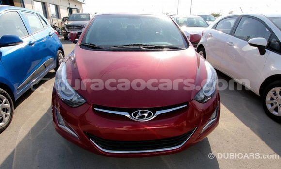 Buy Import Hyundai Elantra Red Car in Import - Dubai in Curacao Buy Import Hyundai Elantra Red Car in Import - Dubai in Curacao
