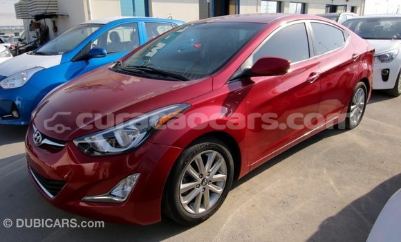 Buy Import Hyundai Elantra Red Car in Import - Dubai in Curacao Buy Import Hyundai Elantra Red Car in Import - Dubai in Curacao