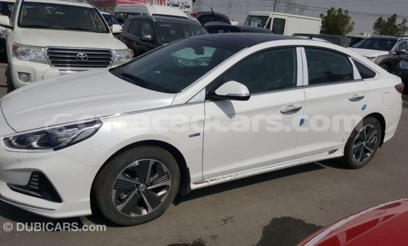 Buy Import Hyundai Sonata White Car in Import - Dubai in Curacao Buy Import Hyundai Sonata White Car in Import - Dubai in Curacao