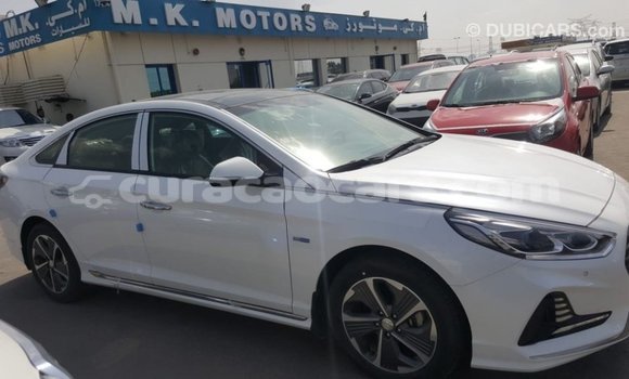 Buy Import Hyundai Sonata White Car in Import - Dubai in Curacao Buy Import Hyundai Sonata White Car in Import - Dubai in Curacao
