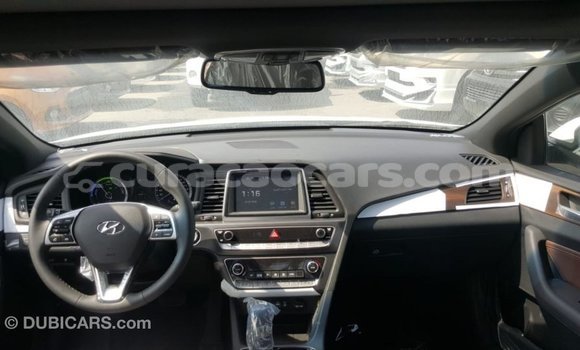 Buy Import Hyundai Sonata White Car in Import - Dubai in Curacao Buy Import Hyundai Sonata White Car in Import - Dubai in Curacao