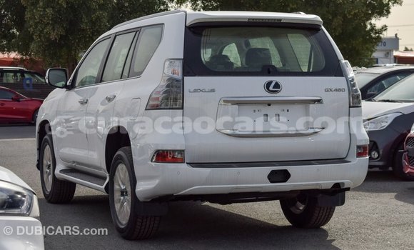 Buy Import Lexus GX White Car in Import - Dubai in Curacao Buy Import Lexus GX White Car in Import - Dubai in Curacao