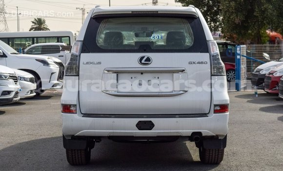 Buy Import Lexus GX White Car in Import - Dubai in Curacao Buy Import Lexus GX White Car in Import - Dubai in Curacao